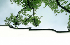 也反衬出建建物的雄