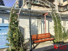 院里的12名全数编入网格